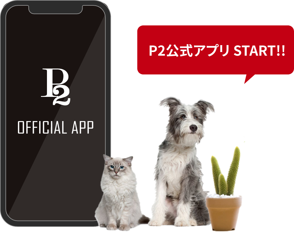 2021年5月スタート!!