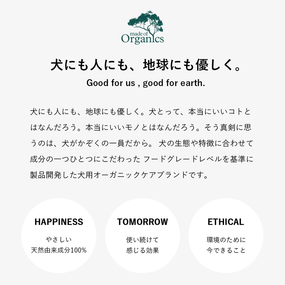 トゥースペースト