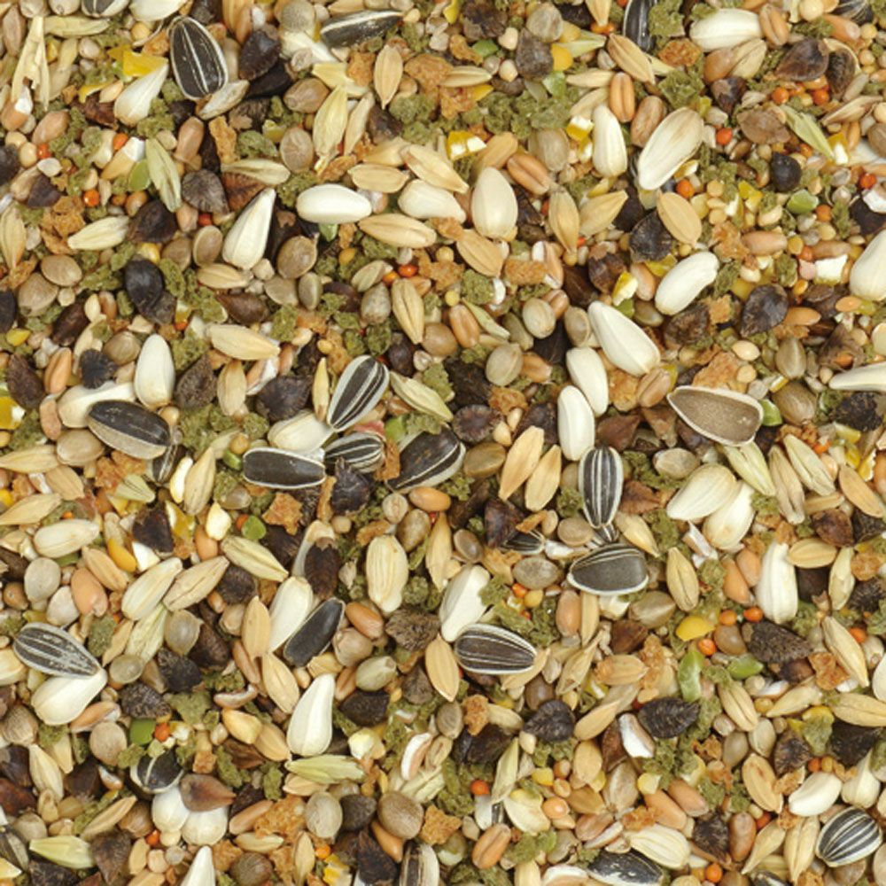 ナチュラルラックス リス