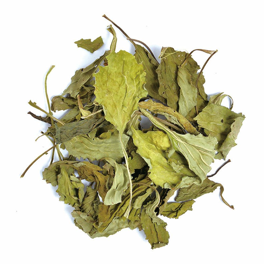  国産 乾燥オオバコ