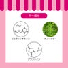  たかくら新産業 APDC ウォーターレスシャンプー 犬用 200ml