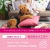  たかくら新産業 APDC ウォーターレスシャンプー 犬用 200ml