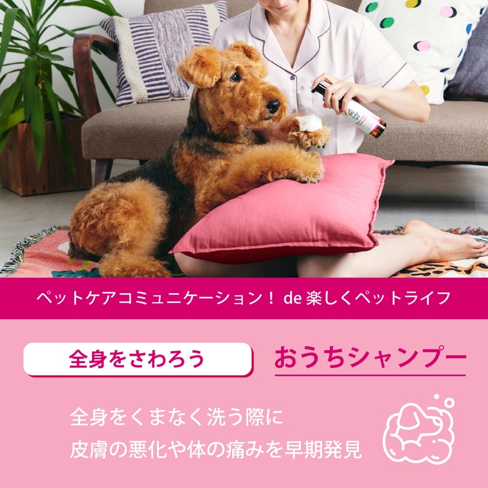  たかくら新産業 APDC ウォーターレスシャンプー 犬用 200ml