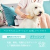 たかくら新産業 APDC グルーミングスプレー 犬用 125ml
