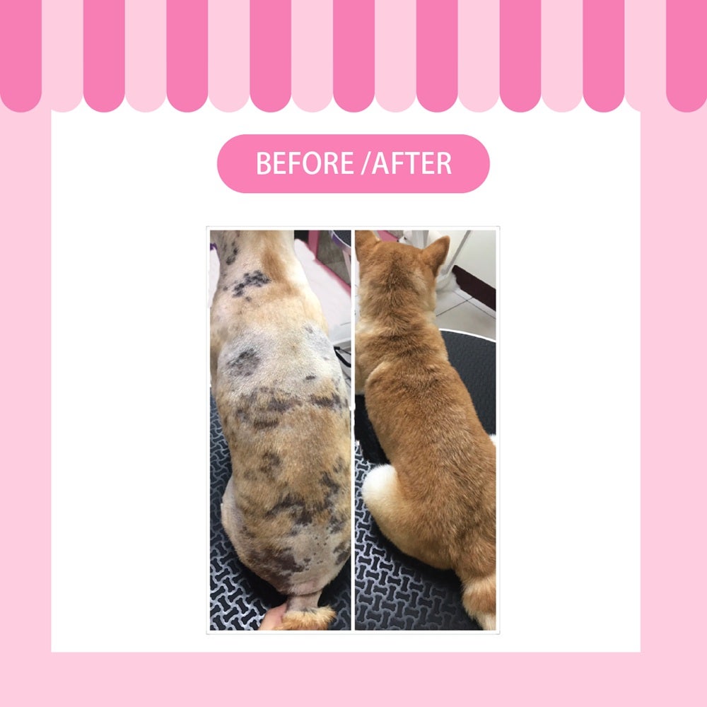 たかくら新産業 APDC モイスチャーミスト 犬用 125ml
