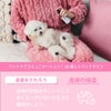 たかくら新産業 APDC モイスチャーミスト 犬用 125ml