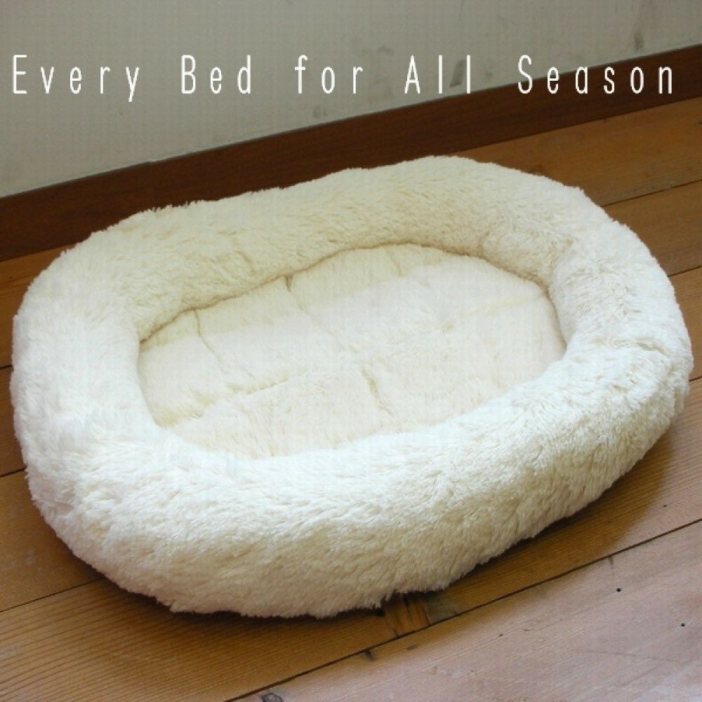 キンペックス エブリベッド Lサイズ | P2 ONLINE STORE