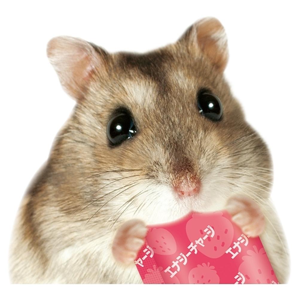 マルカン はむはむぴゅ～れ！ エナジーチャージ イチゴ風味 5g×5本 ML-653