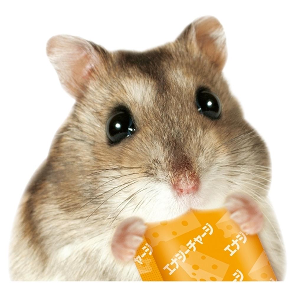  マルカン はむはむぴゅ～れ！ エナジーチャージ チーズ風味 5g×5本 ML-654