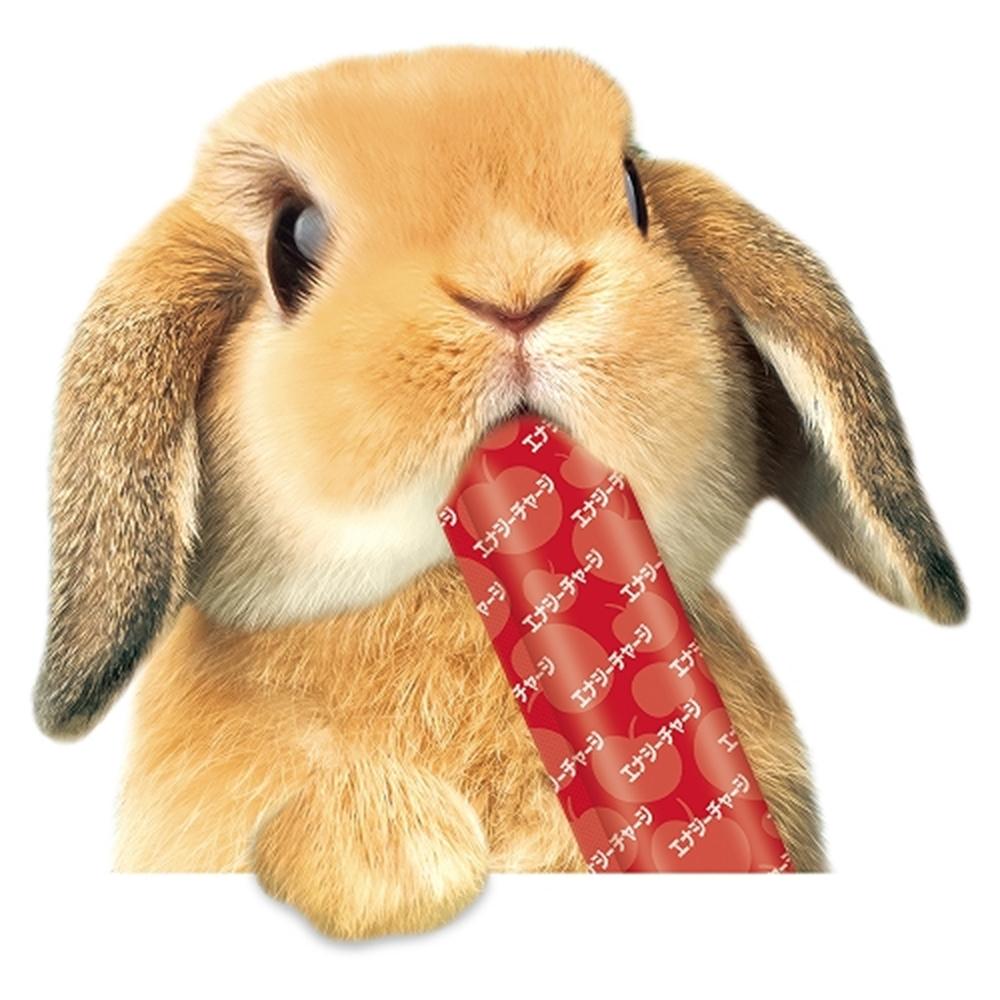 マルカン うさうさぴゅ～れ！ エナジーチャージ りんご風味 10g×4本 ML-651