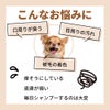 たかくら新産業 おひげ用 ナチュラル ホワイトニング フォーミング シャンプー 180mL