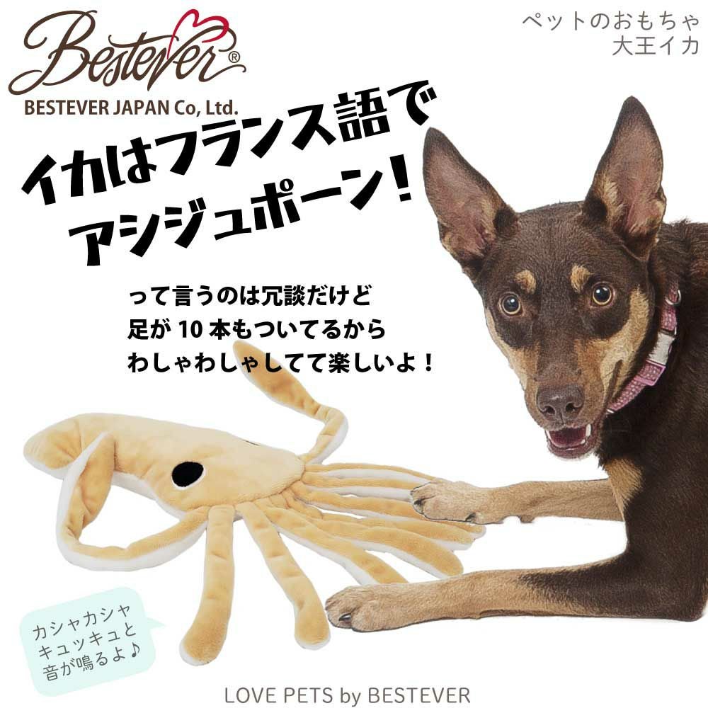 ペットトイ 大王イカ