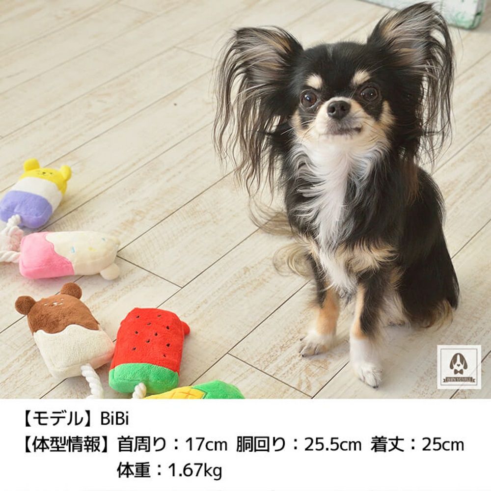 SOLGRA 3色レモンアイスバー