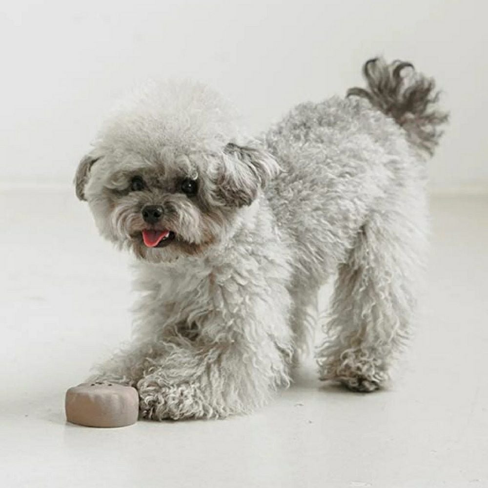  BITE ME 私の妹ラテックスおもちゃ シルバー