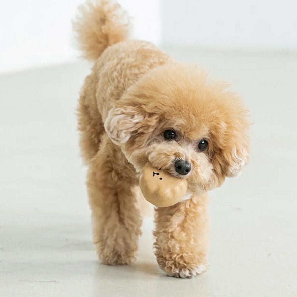  BITE ME 私の妹ラテックスおもちゃ ベージュ