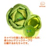 BITE ME キャベツくんくんボールおもちゃ