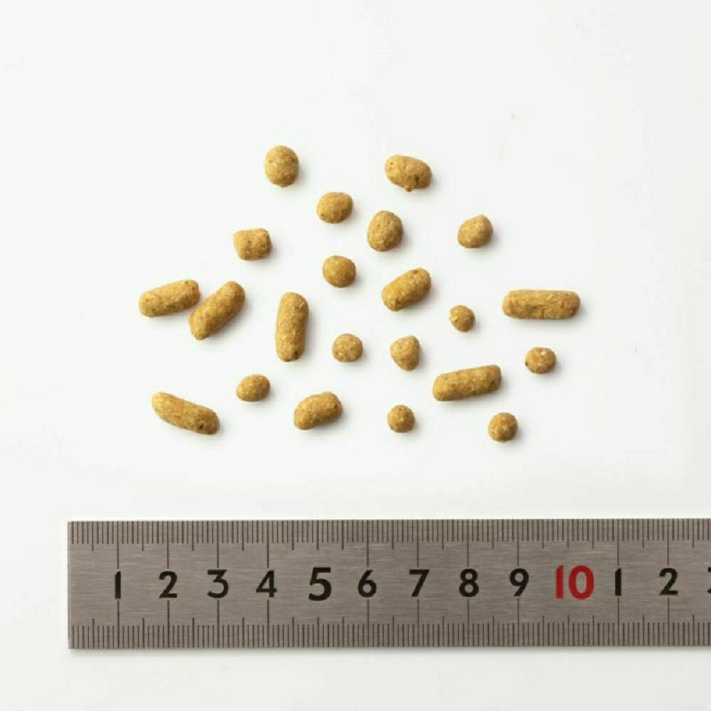 ドットわんごはん - Ｒｅｄ ｍｉｎｄ - 500g