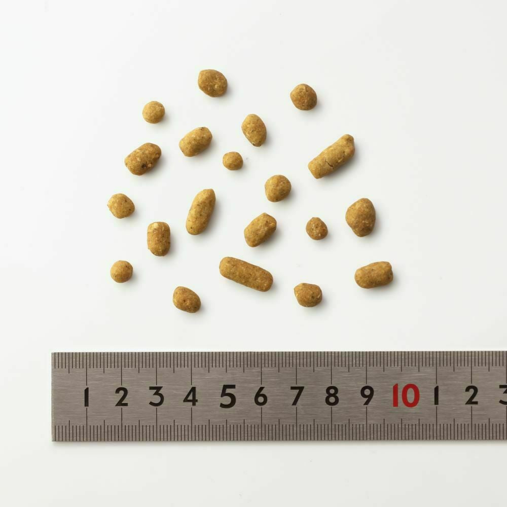 ドットわん 鶏ごはん 500g