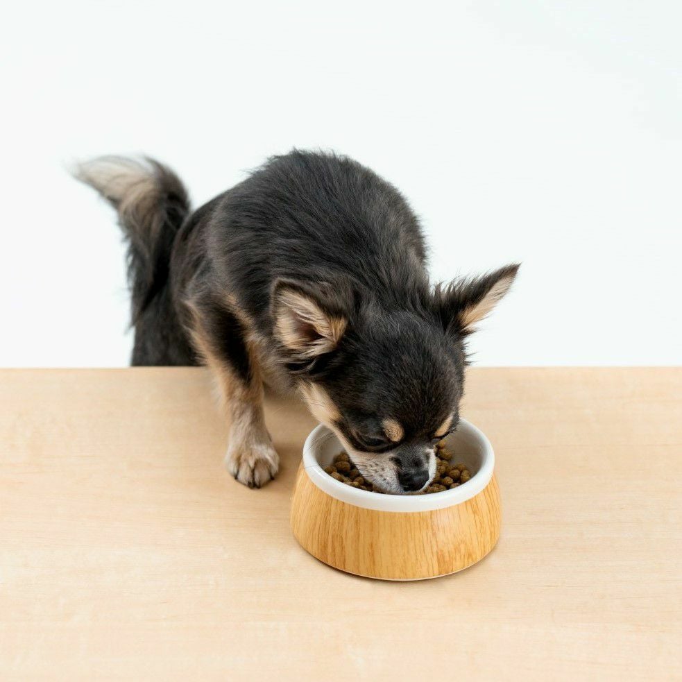 ドットわん 魚ごはん 500g