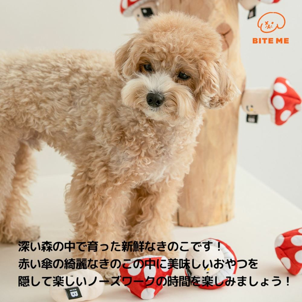 BITE ME きのこノーズワークおもちゃ