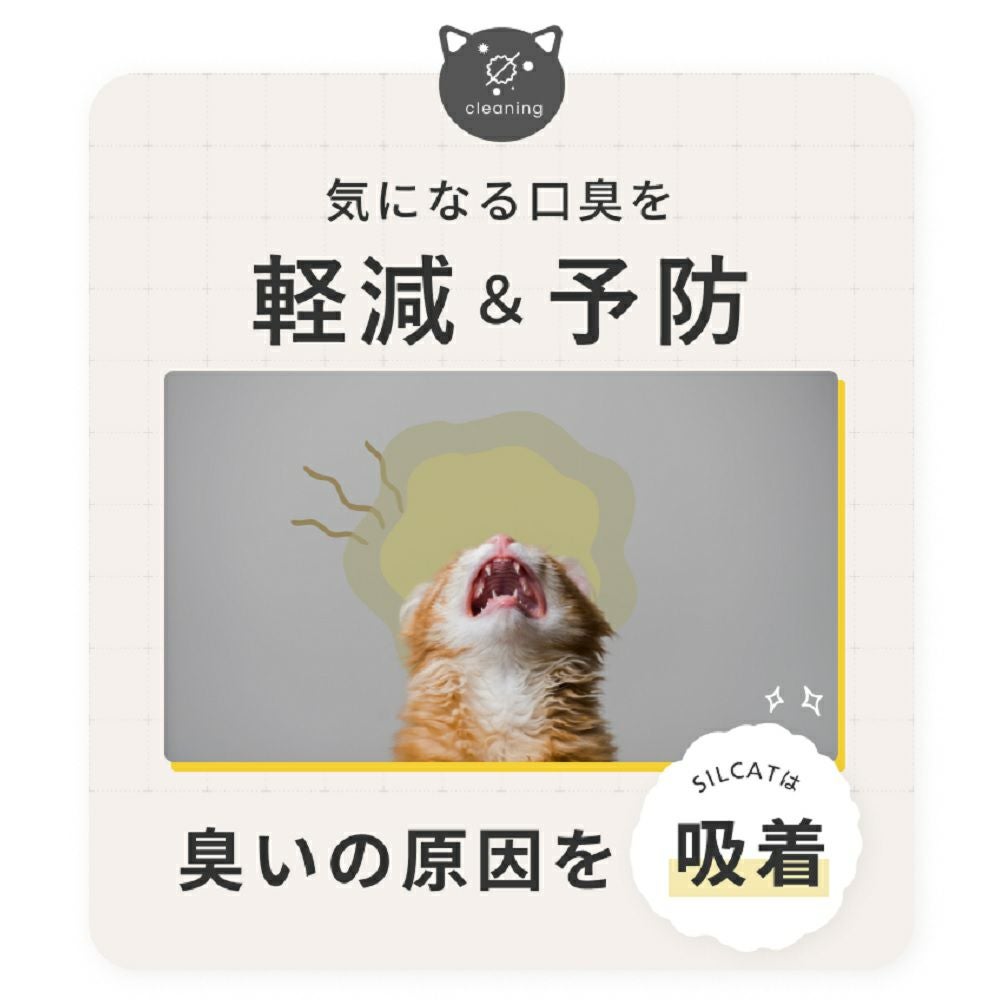 NEXT NEW WORLD 猫用シルクサプリメント シルキャット 3g×30包