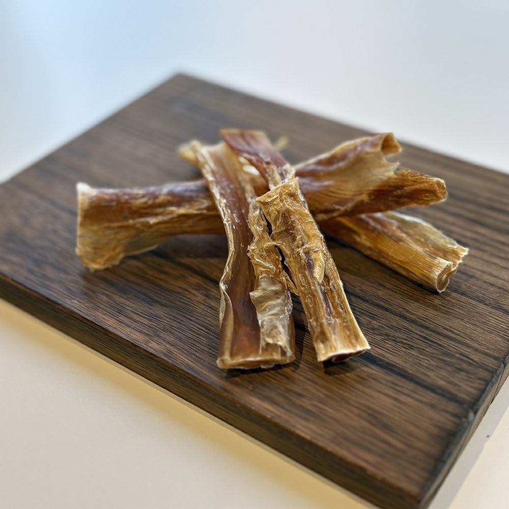 P2 DOG 馬アキレス 35g