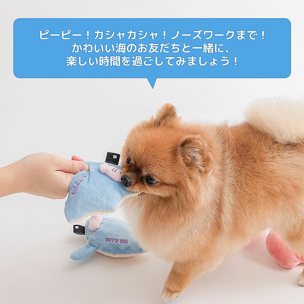 BITE ME 海のお友だち エイ&イカ