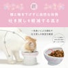 猫壱 脚付フードボウル プチ sakura2026