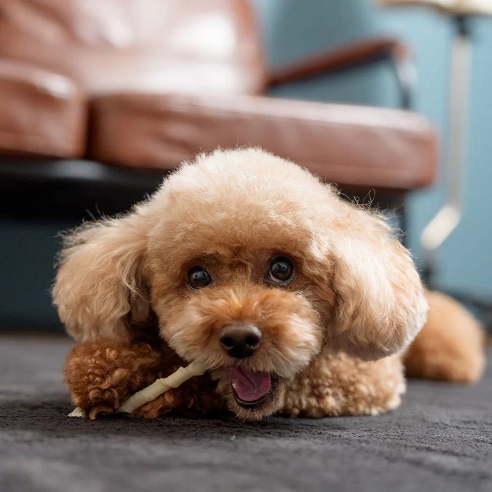 ダッドウェイ FAD 国産牛皮 ロッド 約50g