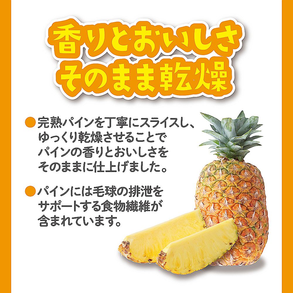 ジェックス パリパリパイン 20g