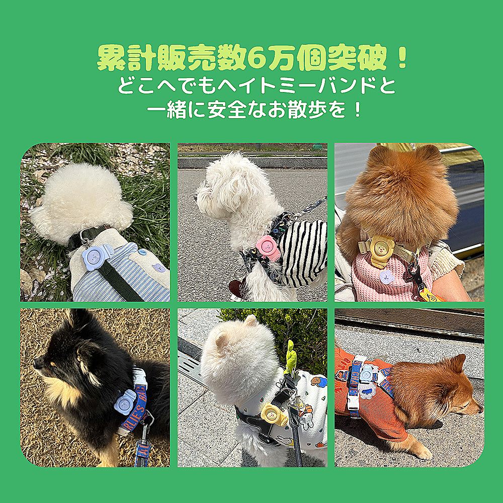 ヘイトミーバンド