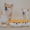 P2 あごのせトイ 柴犬