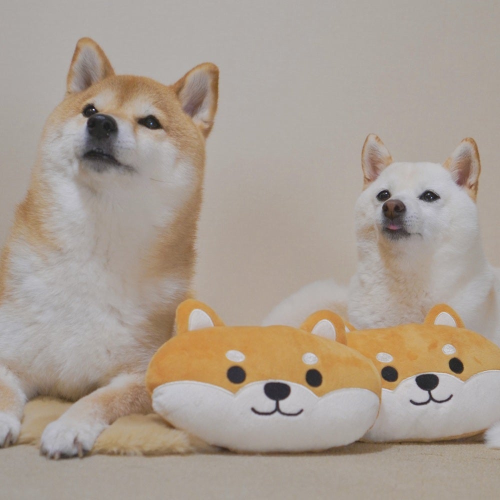 P2 あごのせトイ 柴犬